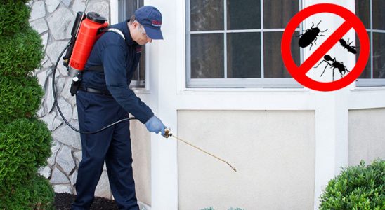 Çobanlar Tahtakurusu İlaçlama böcek ilaçlama ve haşere kontrolü — ilaclama-tr.com